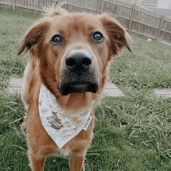 Appareils pour chiens Camp d'été personnalisé bandana mignon écharpe douce pour chiens Dogies pour animaux de compagnie Amourage cadeau fille