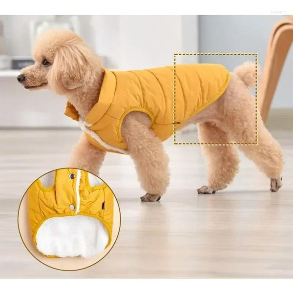 Vêtements de chien personnalisé nom d'animal de compagnie Club personnalisé Yorkie petits vêtements pour vêtements d'hiver un chien de luxe imperméable manteau carlin