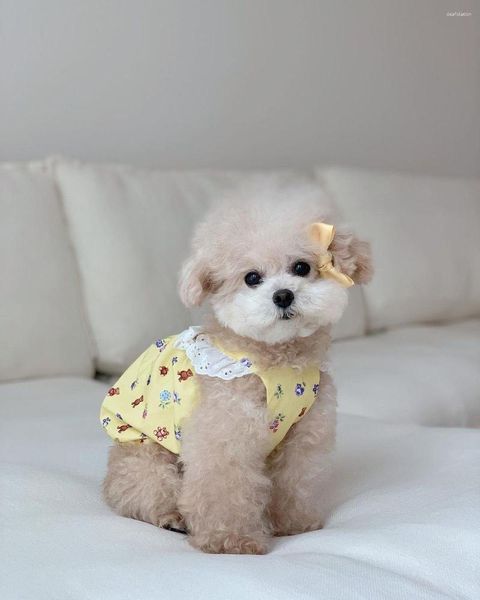 Vêtements de chien mignon ours motif jupe licou dentelle courte vêtements pour animaux de compagnie petit été pour chiot Chihuahua Schnauzer