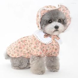 Hondenkleding schattig kat puppy kleine jurk zomer huisdierjurken rok Yorkshire poodle bichon pomeranian shih tzu kostuum hoed cap dropship