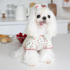 Vêtements de chien mignon cerise imprimé vêtements pour animaux de compagnie chat T-shirt belle Teddy Bichon automne hiver