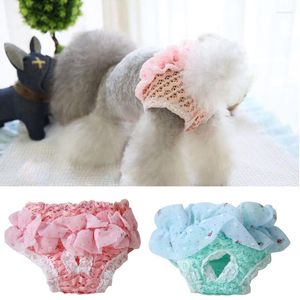 Vêtements de chien mignon en mousseline de mousseline sanitaire pantalon physiologique chiens couches chiots tampons de formation chat enveloppe canty panty panty-vêtements sort shorts