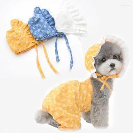 Vêtements de chien mignon coton chapeau doux animal de compagnie adorable accessoires de chiot pour petit printemps scherena drop scheren