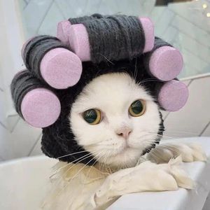 Vêtements de chien mignon cheveux bouclés forme chapeau adorable chat de compagnie couvre-chef doux léger fête cosplay pour fourniture de cross-dressing