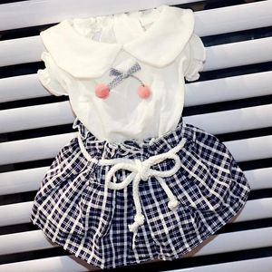 Hond Kleding Schattig Jurkje Zomer Puppy Rok Prinses Kostuum Kleine Kleding Kat Chihuahua Yorkie Kleding Yorkshire Pomeranian