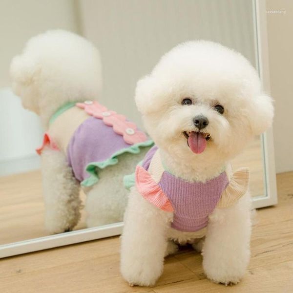 Chien vêtements mignon volant manches chiot robe mince vêtements pour animaux de compagnie automne et hiver chaud pull Teddy bas chemise mode