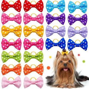 Appareils pour chiens Hair Hair Bands de caoutchouc de toilettage Bows MixColours Cat Small Accessories Fourniture de compagnie 30pcs