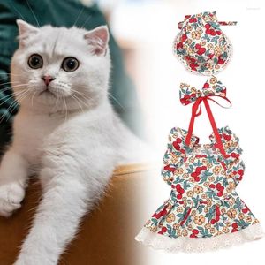 Vêtements pour chiens chapeaux mignons robe de compagnie ensemble de design floral avec harnais nœud papillon pour petits chiens chats anniversaires femelle