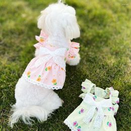 Hond Kleding Leuke Kant Plaid Print Boog Rok Bichon Maltese Huisdier Kat En Kostuum Kleding Voor Kleine Honden Meisje jurken Yorkie