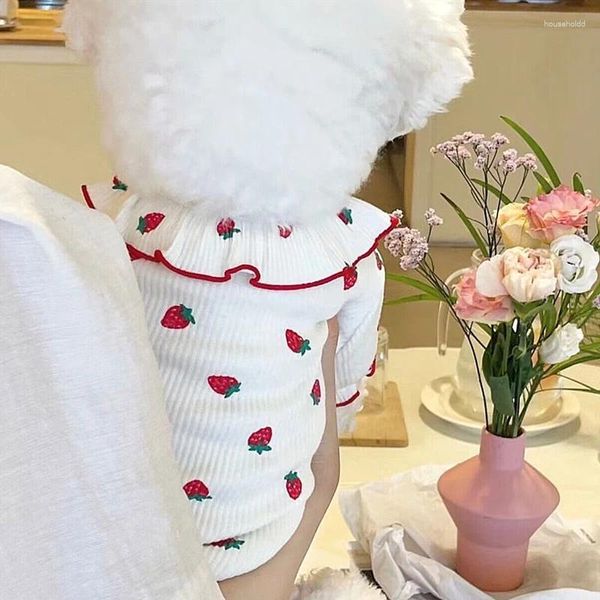 Vêtements pour chiens en dentelle mignonne chiens de fraise vêtements jupe animal en peluche d'été schoner chiot respirant accessoires