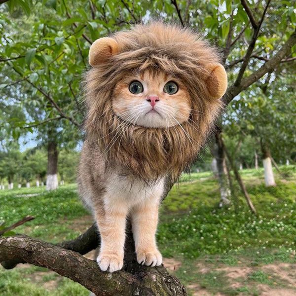 Vêtements pour chiens Mignon Lion Chat Chapeau Adorable Pet Pographie Props Doux Léger Lion Style Chapeaux Pour Chiens Chats Fun Po Shoots Petit