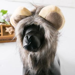Vêtements de chien mignon Lion crinière chat perruque chapeau pour chiens et petits accessoires de décoration pour animaux de compagnie fournitures de cheveux fantaisie