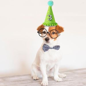 Vêtements pour chiens mignon chapeau d'anniversaire pour animaux de compagnie avec numéro chiot chat couvre-chef Costume fête de noël accessoires pour animaux de compagnie