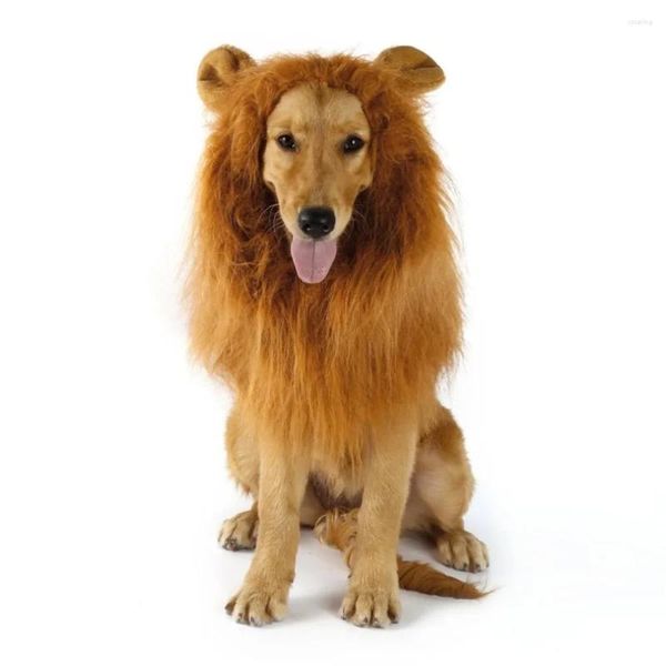 Ropa para perros lindo mascota gato cosplay ropa transfiguración traje león melena peluca caliente decoración de fiesta grande con accesorios para los oídos