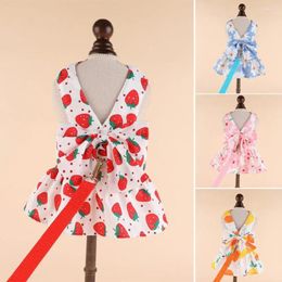 Vêtements pour chiens robe animale mignonne et laisse ensemble avec décoration bowknot vêtements d'été vêtements à suspension à rayures ropa para perros