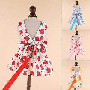 Hondenkleding schattige huisdierjurk en riem set met bowknot decoratie zomerkleding kleding gestreepte suspender rok ropa para perros