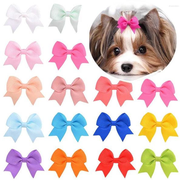 Vêtements de chien mignons pinces à cheveux pour animaux de compagnie chiot couleur unie arc épingle à cheveux chat boutique accessoires multicolore