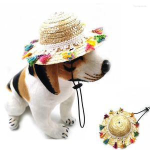 Chapeau de paille mignon d'animal familier de vêtements de chien avec la vente de personnalité de gland et le chat