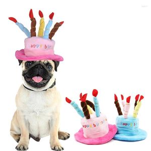 Vêtements pour chiens mignons animaux de compagnie chats casquettes d'anniversaire réglable velours côtelé bougies colorées petit/moyen chapeau chiot Cosplay chapeaux chat