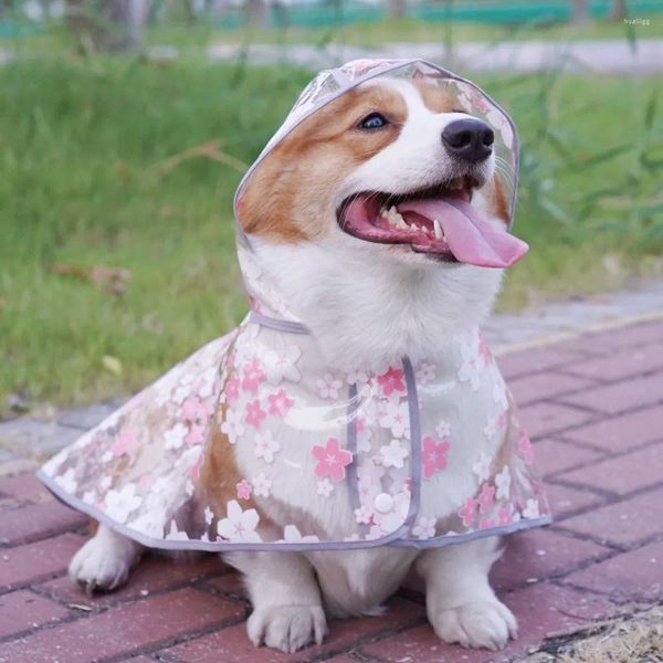 Vêtements pour chiens mignon imperméable motif floral pour chiens transparent poncho cape vêtements d'extérieur fournitures de vêtements pour animaux de compagnie