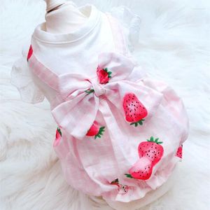 Vêtements de chien mignon fraise robe d'été vêtements pour animaux de compagnie vêtements robes tutu chiot chat jupe goutte costume produits