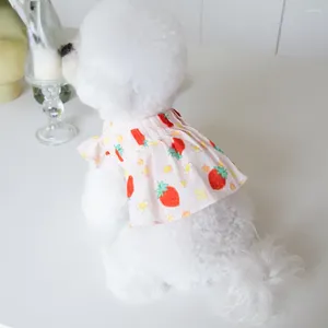 Vêtements de chien mignon fraise à manches volantes robe plipe de poule à plipe chat et à teddy vêtements de mode en peluche chiot