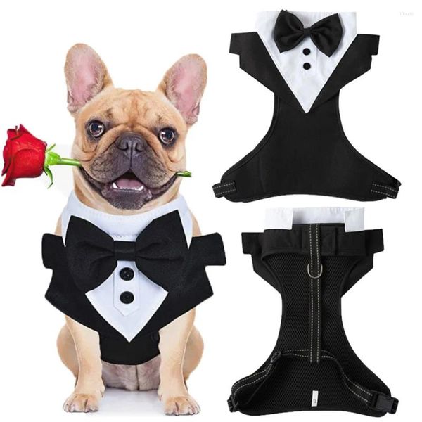 Vêtements pour chiens Costume mignon Ensemble 4 tailles disponibles Bouton Design Bow Tie Chemise Tenue de mariage pour grands chiens de petite taille