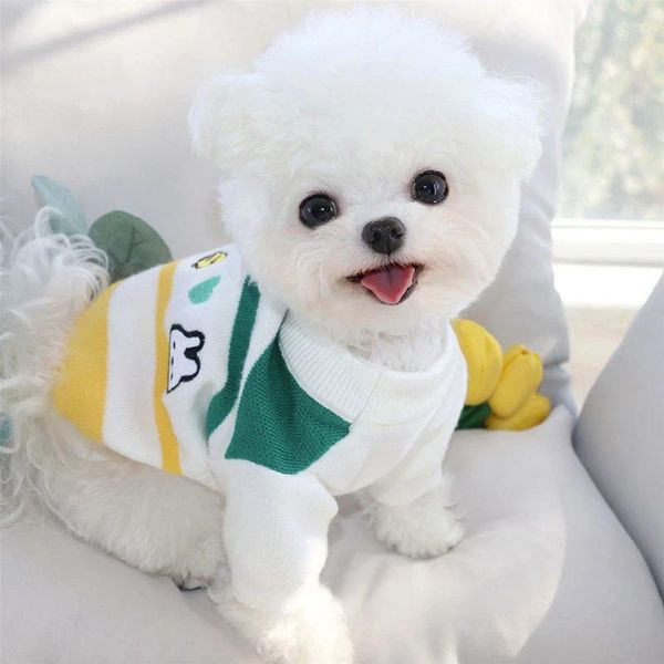 Ropa para perros lindo suéter de otoño tibio tejido de peluche pequeño suministros de ropa de ropa de jalón de dos piernas suaves