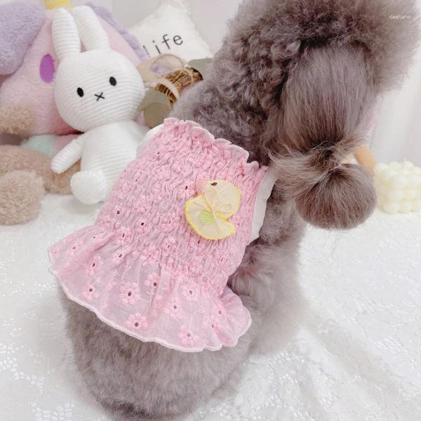 Vêtements de chien mignon gilet jupe chihuahua vêtements Yorkshire Terrier chiot poméranien Shih Tzu maltais Bichon caniche petits vêtements pour animaux de compagnie