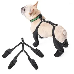 Vêtements de chien Dacron Chaussure imperméable Boot Pet respirant doux pour la marche en plein air résistant à la saleté