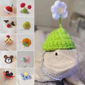 Hondenkleding Decoratie Huisdier Hoed Caps Poppenhuisbenodigdheden Speelgoed Hamster Accessoires Gebreid