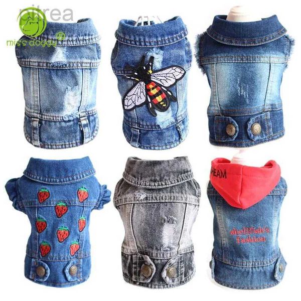 Ropa de perro ropa de mezclilla para pitbulls dachshund fashion jeans jeans chaqueta azul camiseta vaquera para shih tzu ropa fría para perros pequeños d240426