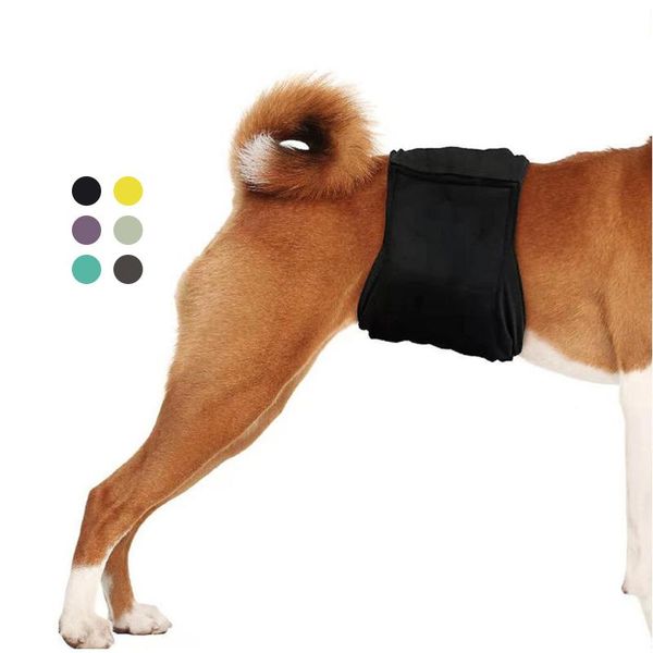 Pañales para perros, pantalones cortos fisiológicos para mascotas, impermeables, lavables sanitariamente, ropa interior suave duradera, bandas para el vientre para perros