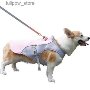 Vêtements de chien vêtements pour chiens refroidissement et pour l'été à trois couches de ventre de ventre