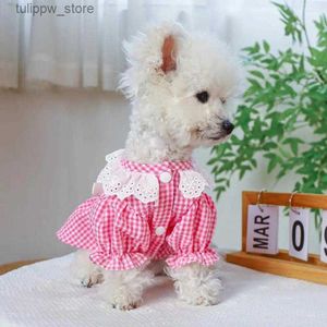 Vêtements pour chiens vêtements pour chiens robe d'été ronde bouton ferme fermeture bowknot jupe adorable en dentelle à carre