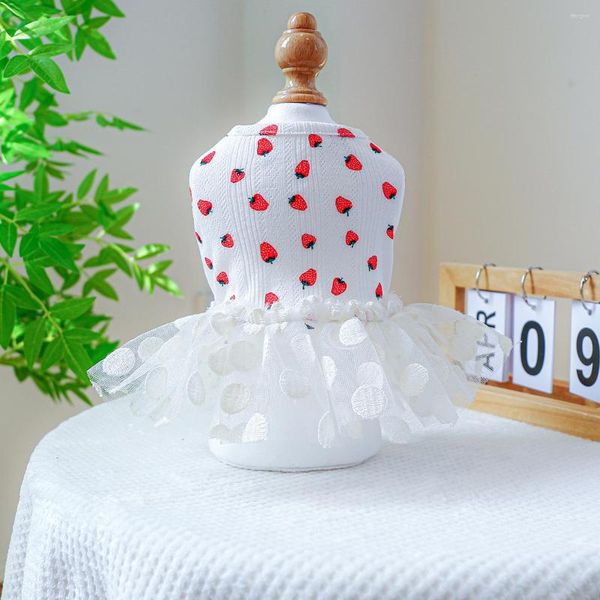 Vêtements pour chiens et chats, robe de mariée, motif fraise, jupe pour chiot, tenue de printemps/été