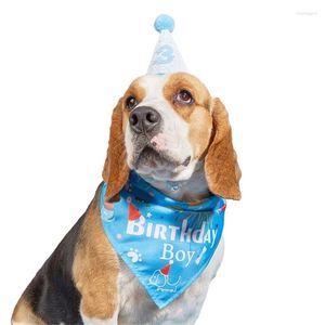Chiens de chien chiens d'anniversaire fêtes de fournitures avec un collier de chapeau collier