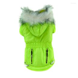 Chien vêtements chiens veste couleur vive taille minceur doux animaux à capuche avec col en fourrure coupe-vent cordon vêtements solides