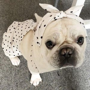 Hondenkleding dot jurken prinses jurk voor vrouwelijke honden katten puppy feestje bruiloft rok zomerkleding klein groot