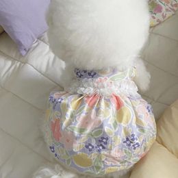 Vestimenta de ropa para perros vestidos de gato chihuahua Yorkshire terrier pomerania maltés shih tzu poodle bichon schnauzer ropa para mascotas