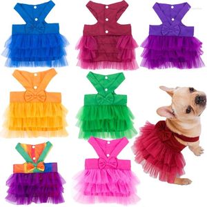 Robe de vêtements de chien chat en dentelle jupe vêtements de compagnie chiot princesse mignon vestige chihuahua accessoires