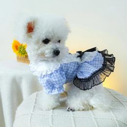 Vêtements pour chiens Robe Chic Maille Épissage Princesse Avec Arc Décoration Collier De Poupée Fournitures Pour Animaux De Compagnie À La Mode Pour Pooch Doux