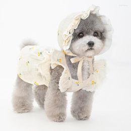 Vêtements pour chiens Robe Chapeau Chapeau Été Chat Robes Jupe Voyage En Plein Air Vêtements Pour Animaux De Compagnie Chiot Yorkshire Poméranie Caniche Bichon Vêtements