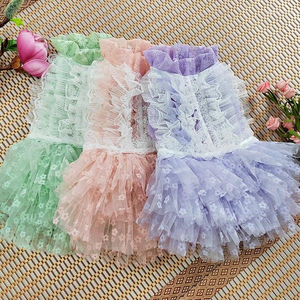 Vêtements pour chiens Robe d'été en dentelle Vêtements pour chiots Yorkie Poméranie Vêtements Bichon maltais Caniche Schnauzer Costumes pour animaux de compagnie 2023