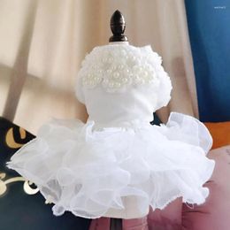 Robes de vêtements pour chiens plusieurs couches de dentelle chaton chiot jupe fausse perle conception col rond robe de princesse pour animaux de compagnie pour le mariage