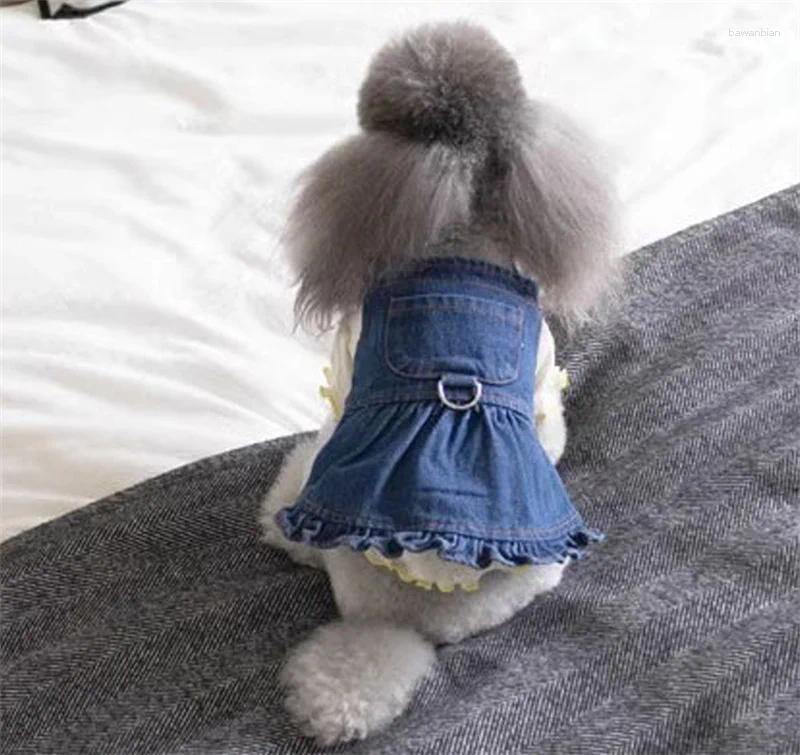 Hundkläder klänningar små kläder denim jeans kjol sele kostym schnauzer poodle Yorkshire bichon pomeranian shih tzu klänning