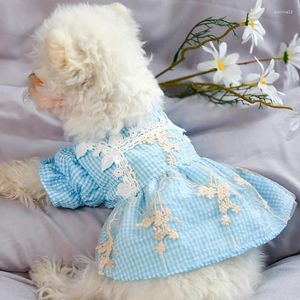 Vêtements pour chiens Robes Vintage Dentelle Bleu Plaid Robe Fit Petit Chiot Pet Chat Broderie Maille Fil Jupe Costume Mignon Vêtements