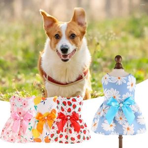 Hundebekleidung Langlebige Haustierkleid Easy-tragende zweibeinige ärmellose weiche Touch Welpenkleidung Rock Up Up