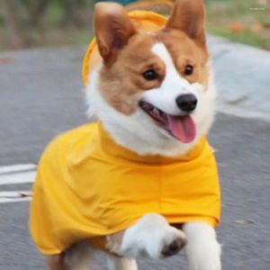 Hondenkleding Duurzame Pet Raincoat Decoreren Regendicht lichtgewicht Perfecte pasvorm