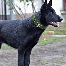 Appareils pour chien Durable Tactical Collar Lash Set Admable Militable Pet Medium Medium Grand Shepherd German Shepherd Accessoires